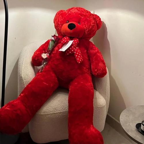 دبدوب احمر كبير طول (1.5) متر ونص red teddy bear,...