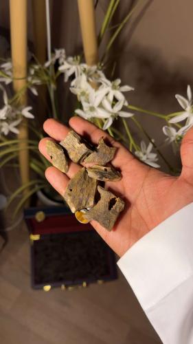 العود الصيني