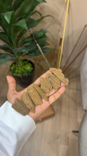 المروكي المحسّنvip