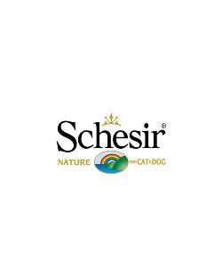 Schesir