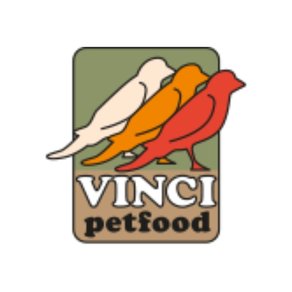 VINCI
