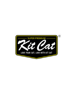 Kit Cat