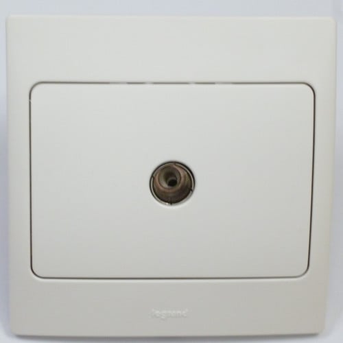 فيش تلفزيون انثى