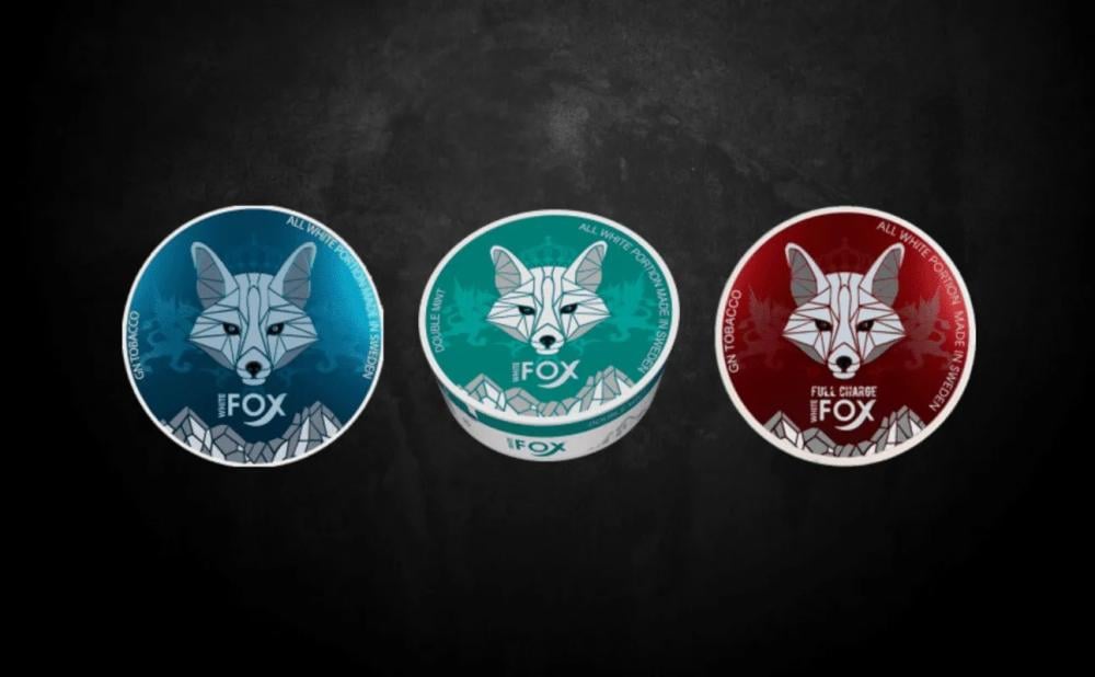 أكياس نيكوتين Fox: المميزات والعيوب وكيفية الاستخدام بشكل آمن