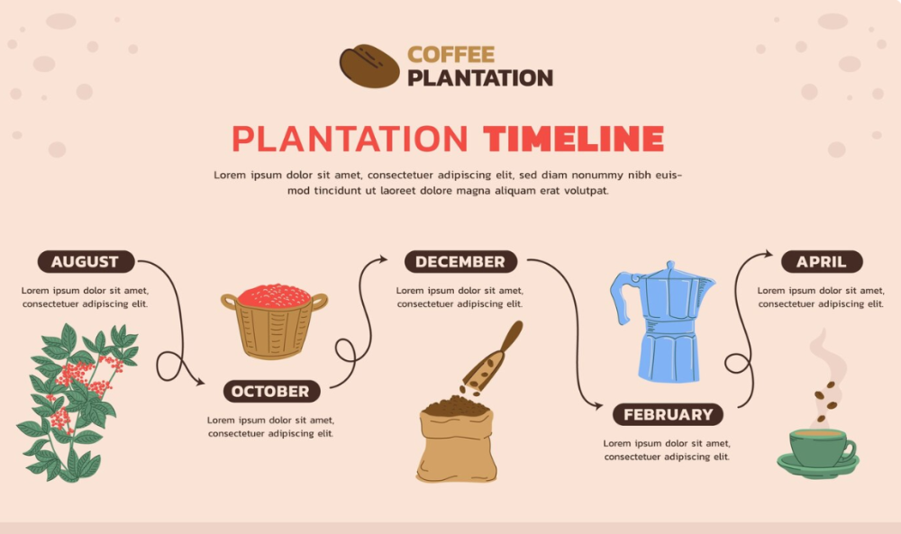 طريقة اعداد القهوة المختصة كالمحترفين: دليل شامل لعشاق القهوة