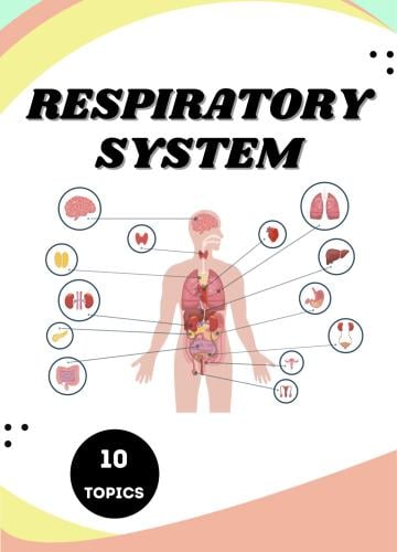 ملخص الجهاز التنفسي- Respiratory system