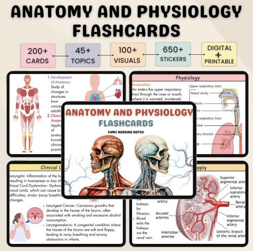 Anatomy and physiology-ملخص تشريح ووظائف الاعضاء