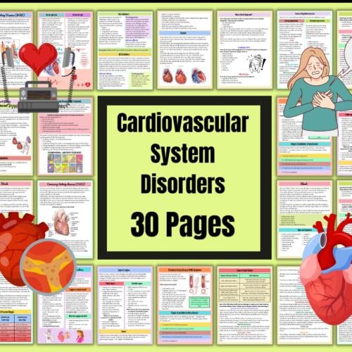 Cardiovascular disorders 30 pages