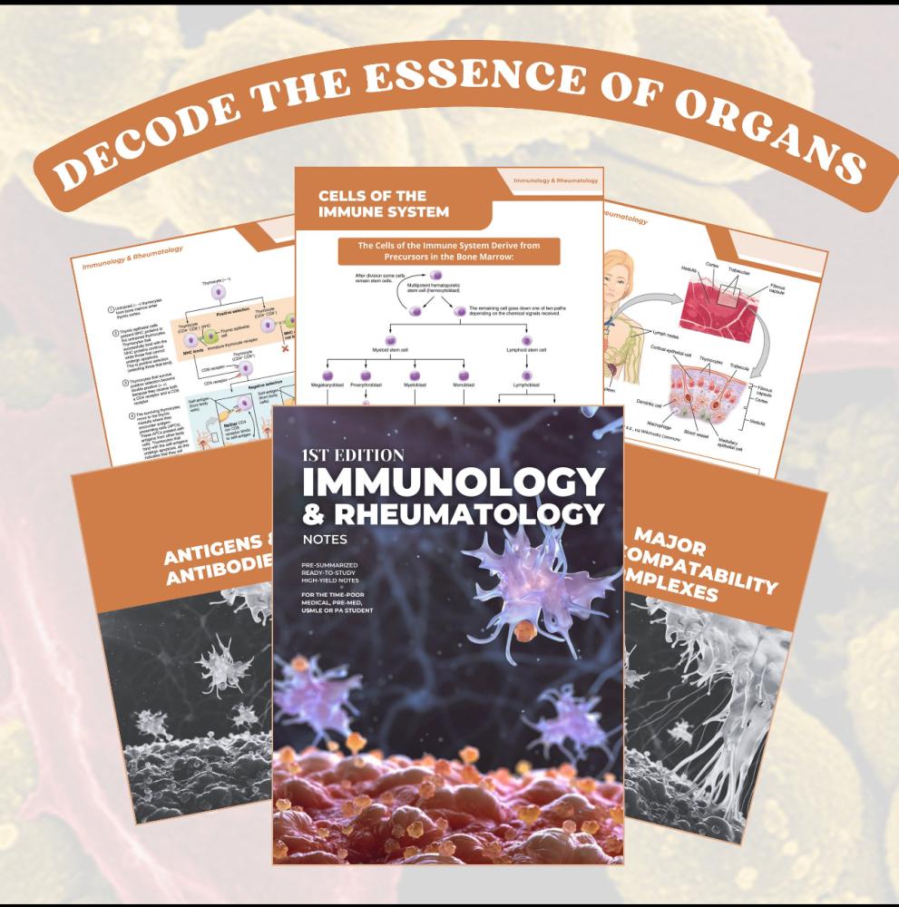 Immunology & Rheumatology-ملخص المناعة الطبية والروماتيزم