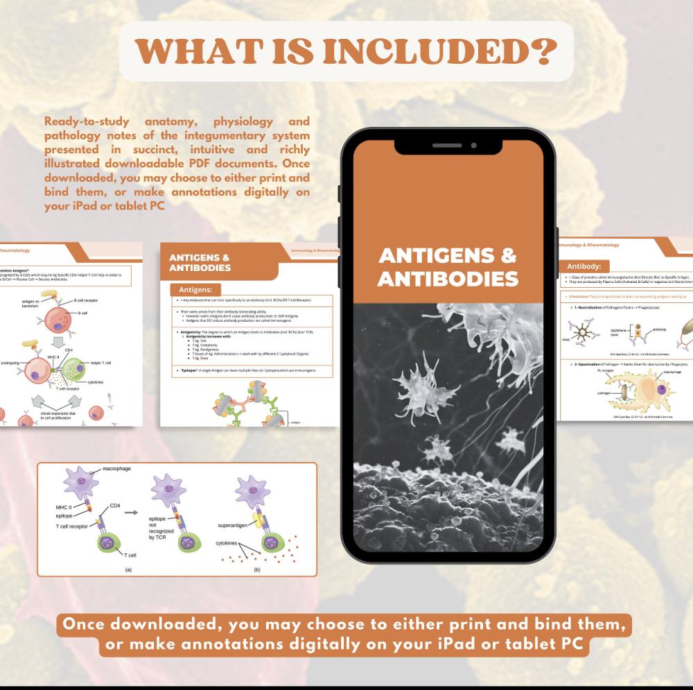 Immunology & Rheumatology-ملخص المناعة الطبية والروماتيزم