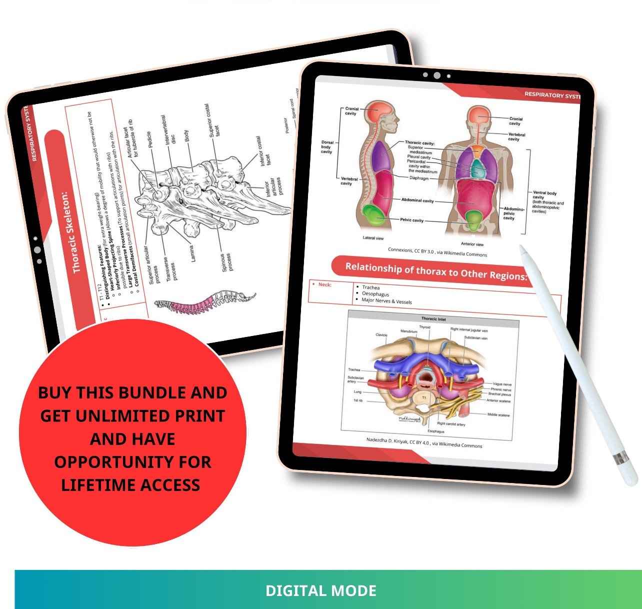 Clinical Medicine Summary – ملخصات الطب الإكلينيكي