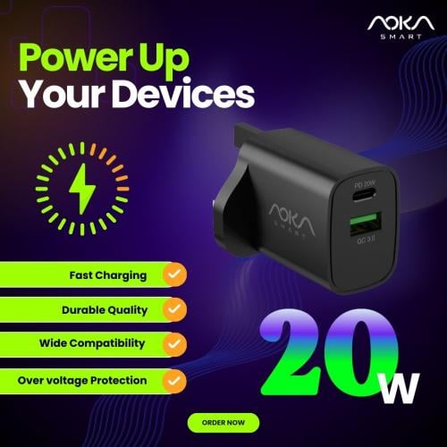 AOKA WALL CHARGER CTYPE AWC-B201