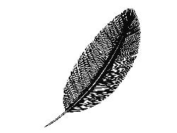 ناياسيا باريس/NAYASSIA