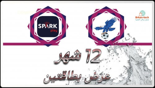 بطاقتين سنة Vulture + SPARK