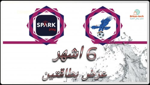 بطاقتين 6 اشهر Vulture + SPARK