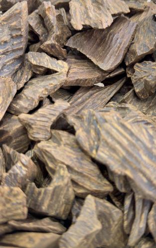 الرهيب عود ضيوف اشتر أوقية ونص أوقية هدية