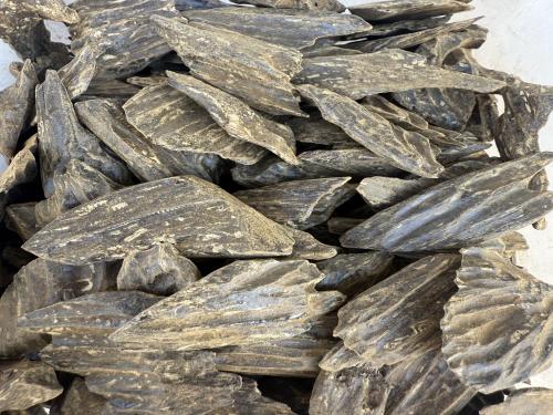 عود ازرق درجة أولى 1️⃣