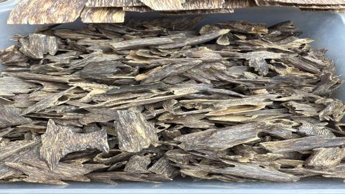 هندي موري استخدام شخصي فخم جدا