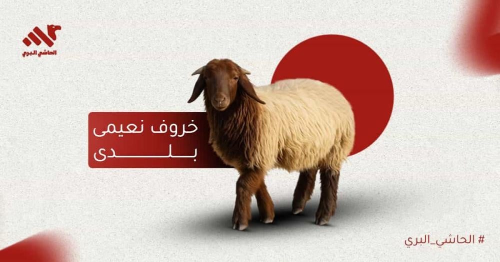 نعيمي بلدي لحم أصيل بطعم فريد وجودة عالية