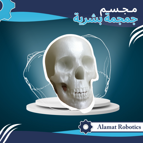 جمجمة بشرية (مطبوعة)