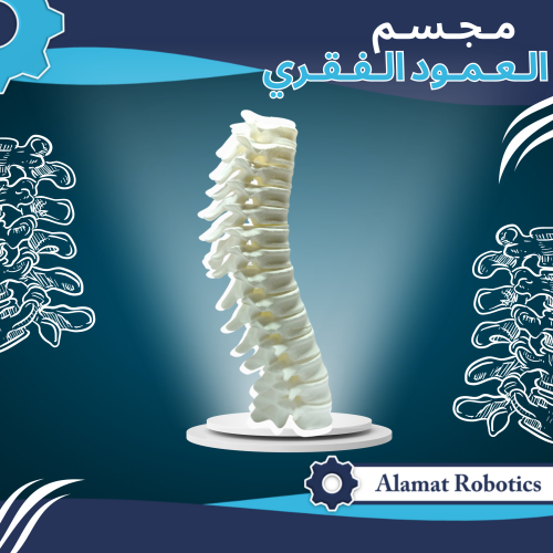 العمود الفقري (مطبوع)