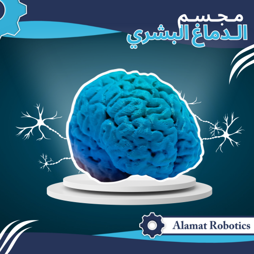 الدماغ البشري (مطبوع)