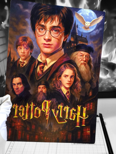 بوستر هاري بوتر (Harry Potter)