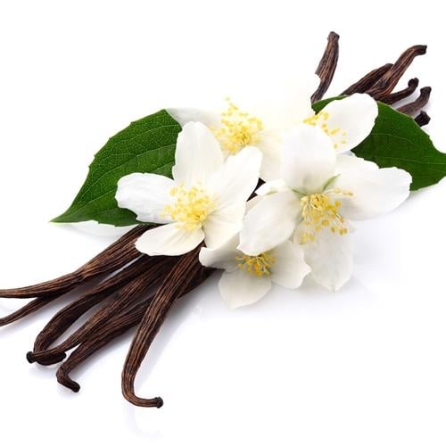 زيت عطري برائحة الفانيلا