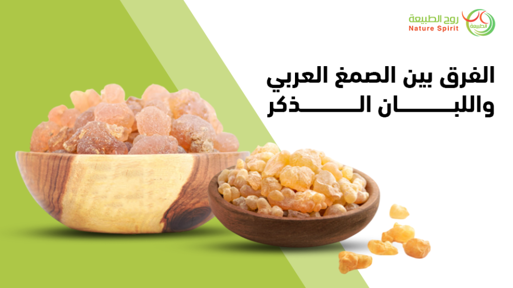 لبان الذكر والصمغ العربي مع روح الطبيعة