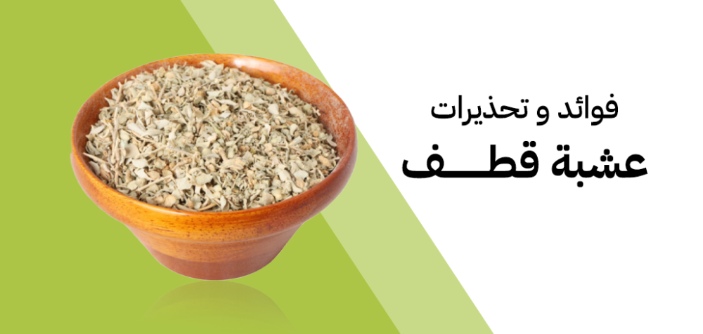 ما هي عشبة القطف؟