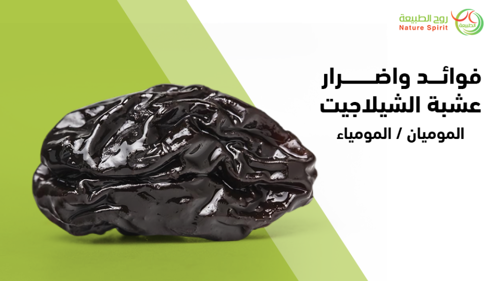 تعرف علي فوائد واضرار عشبة الشيلاجيت