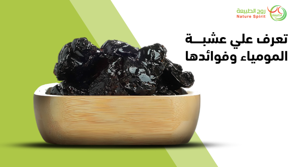 عشبة المومياء