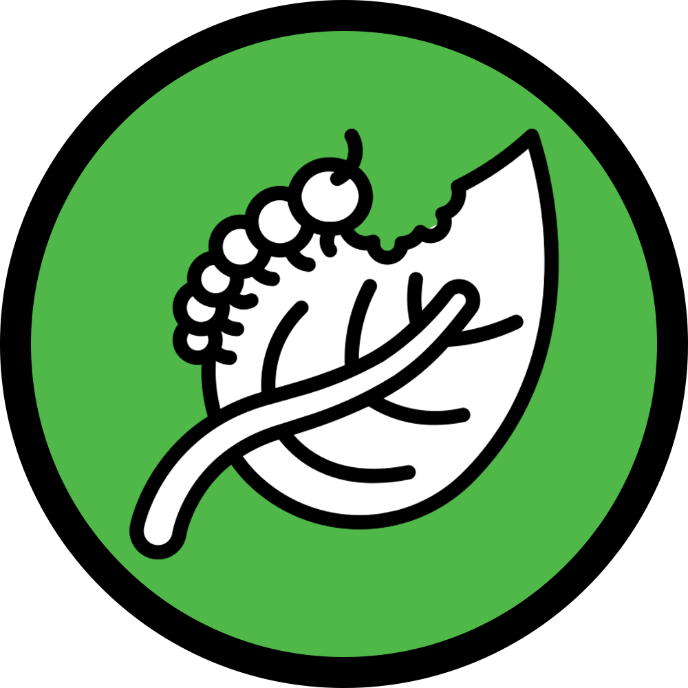 مبيدات حشرية