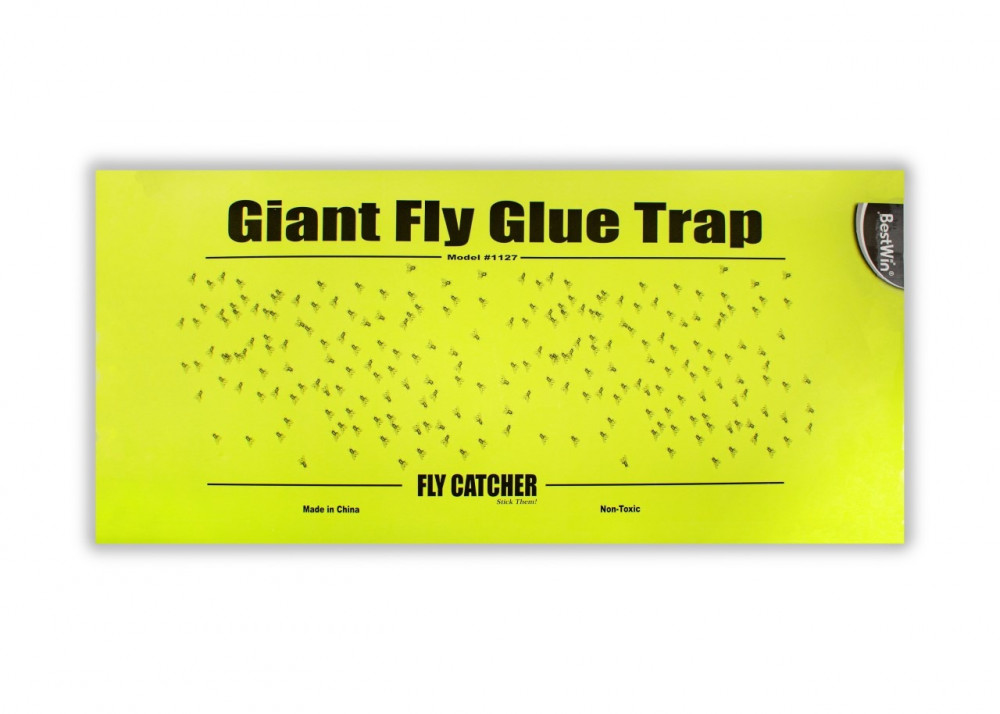 Giant Fly Glue Trap with Attractant 948
