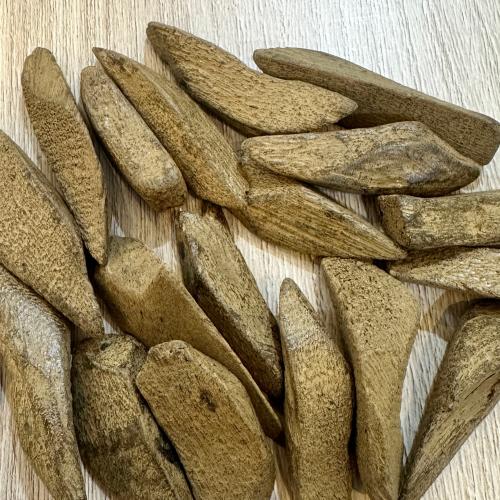 مروكي المجلس