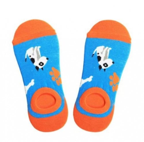 شراب الكلب قصير