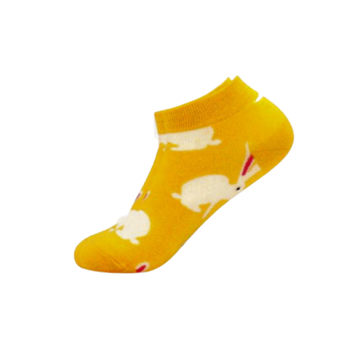 شراب الارنب