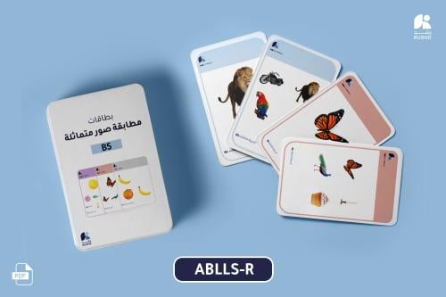 B5 identical picture matching cards