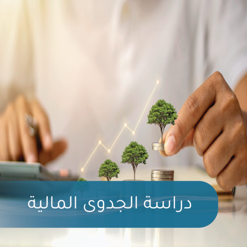 دراسة الجدوى المالية