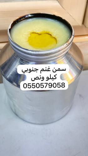سمن غنم شغل جنوبي كيلو ونص