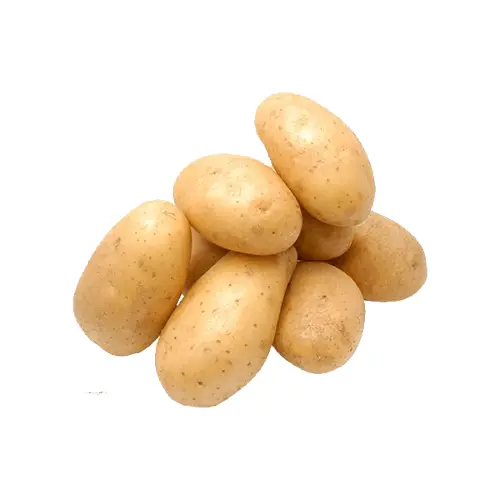 بطاطس