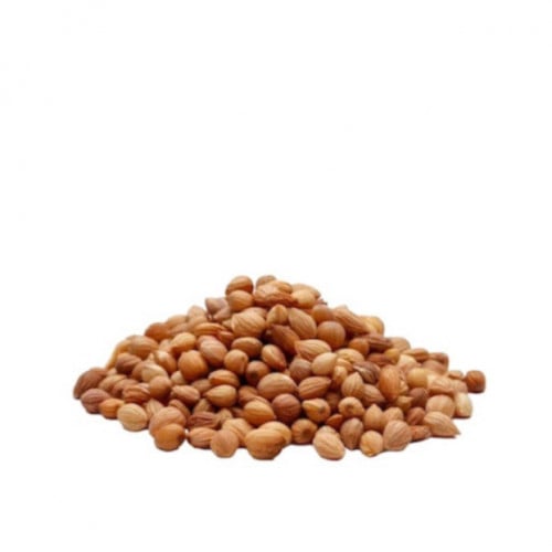محلب حب