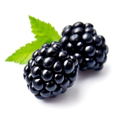 زيت عطري توت اسود