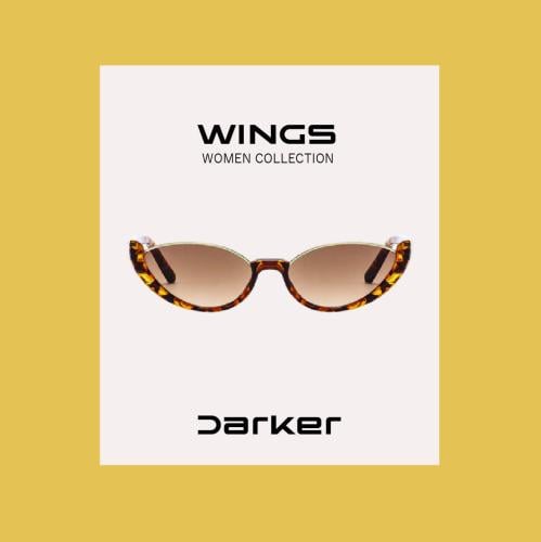 .VINTAGE WINGS.