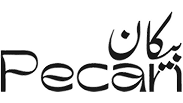 بيكان