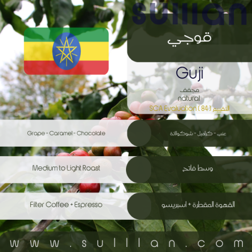 إثيوبيا - قوجي محمص ومطحون 500 جرام