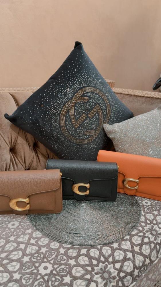 حقيبة Coach الفاخرة