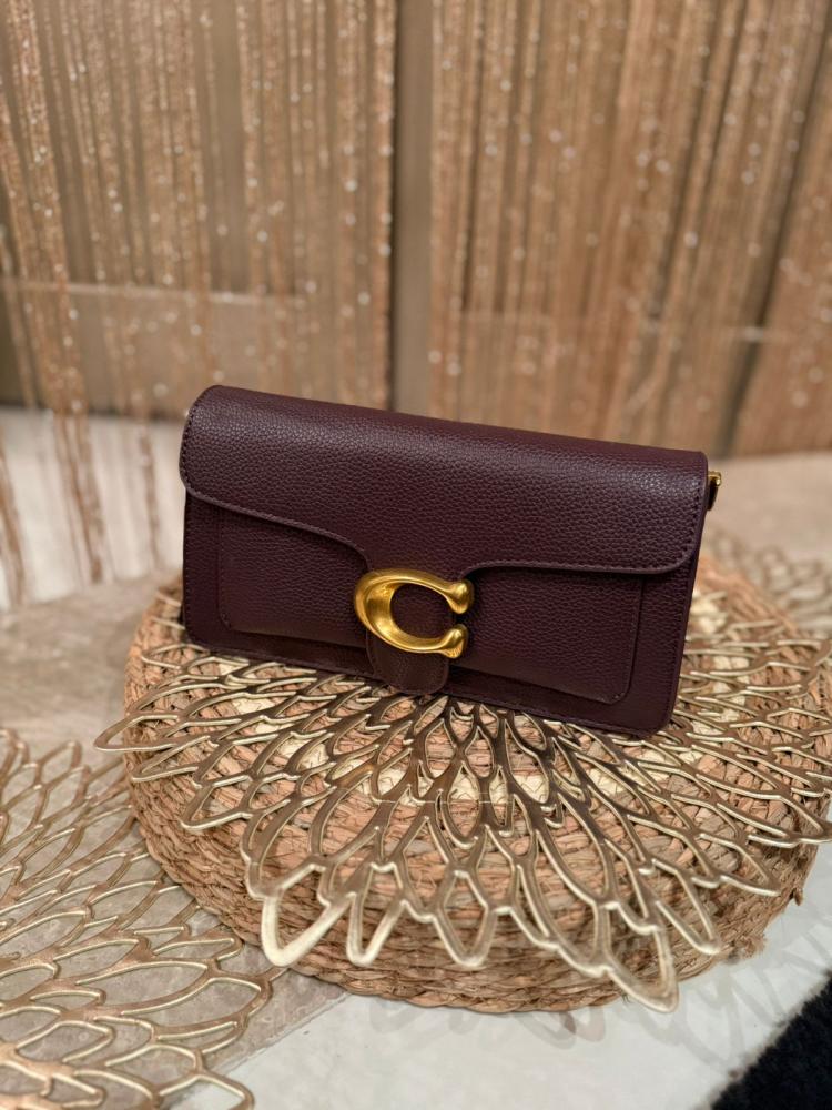 حقيبة Coach الفاخرة