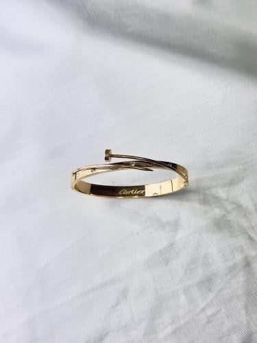 سوار كارتير مسمار ذهبي