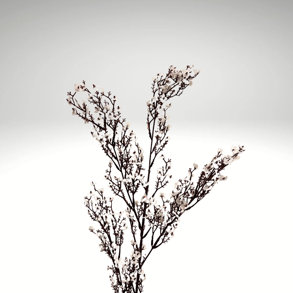 لوحة الساعة